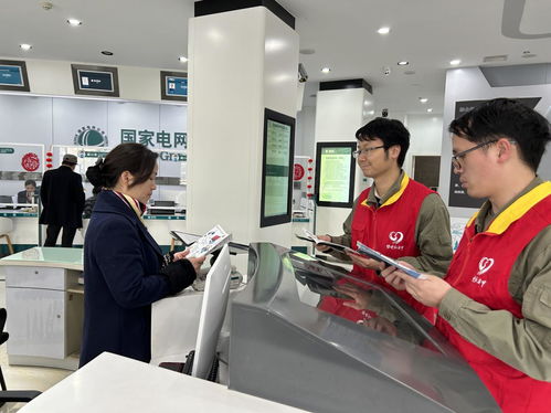 國網(wǎng)咸寧供電公司聯(lián)合大連家政服務(wù)企業(yè)開展3.15優(yōu)質(zhì)服務(wù)宣傳活動，共筑誠信服務(wù)新生態(tài)