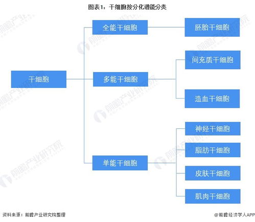 預(yù)見2022 中國干細(xì)胞醫(yī)療產(chǎn)業(yè)全景圖譜——產(chǎn)業(yè)鏈、競爭格局與前景展望